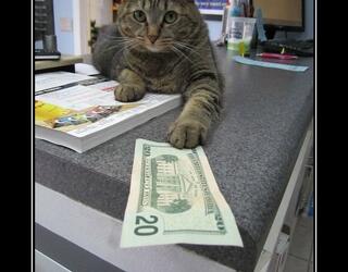 И забудем об этом