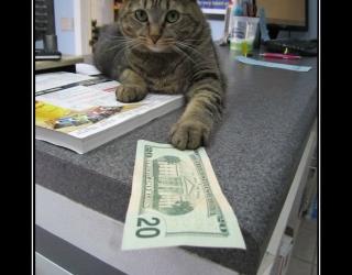 И забудем об этом