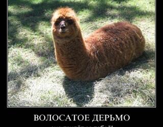 Волосатая какашка
