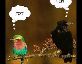 Предрассудки