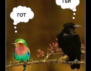 Предрассудки